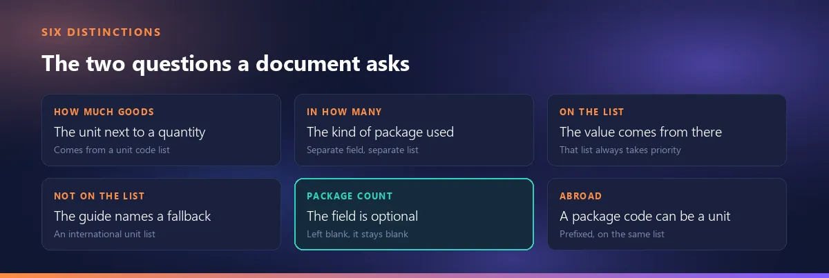 Six distinctions: how much goods goes in the unit of measure field and in how many packages goes in the packaging type field; on the list means the guide's list, off it means an international list; the package count field is optional; abroad a package code can serve as a unit code